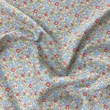Betsy Ann 036308020F