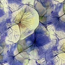 LEI_LON_1T