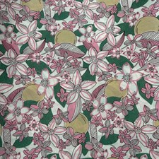 Daphne_Olenna_M