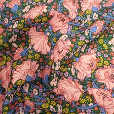 Clementina Daisy